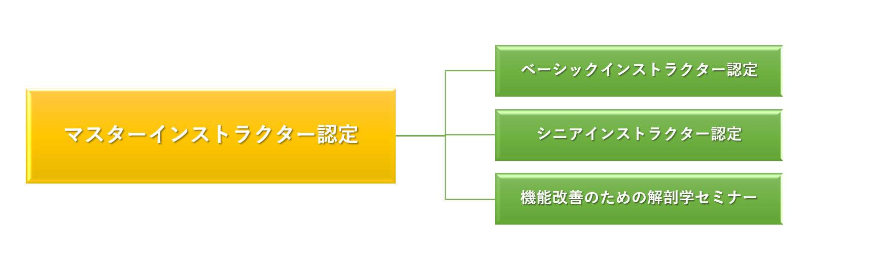 ボディキネシス®マスターインストラクター認定資格