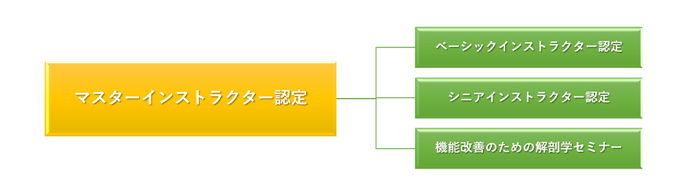 ボディキネシス®インストラクター養成コース全体図